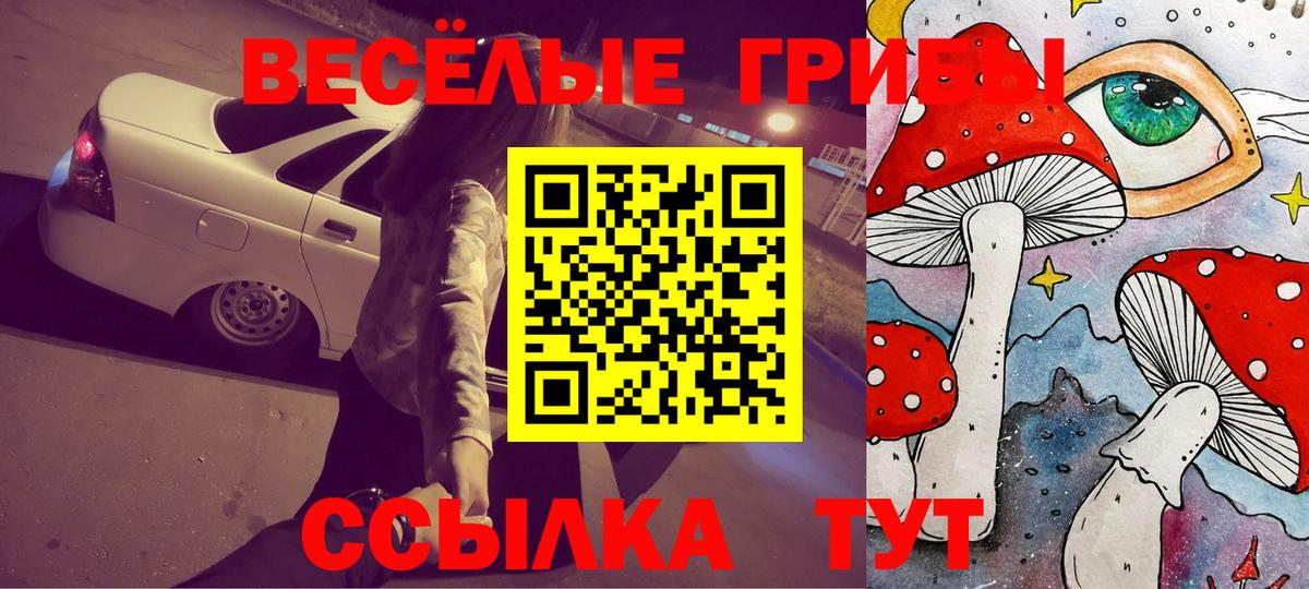 как найти наркотики  Вход с VPN  Майский  Псилоцибиновые грибы GOLDEN TEACHER 